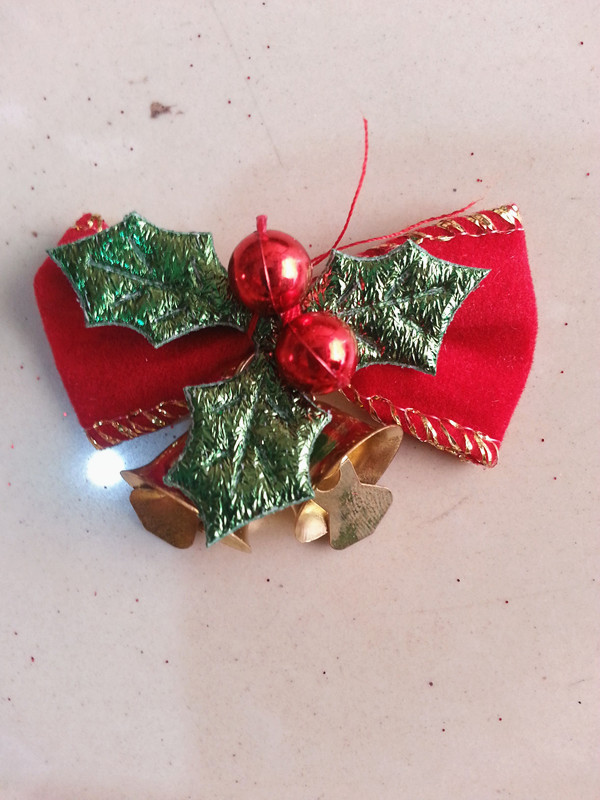 QQ图片20160627161248_副本