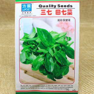 三七菜图片_三七菜图片大全 - 阿里巴巴海量精