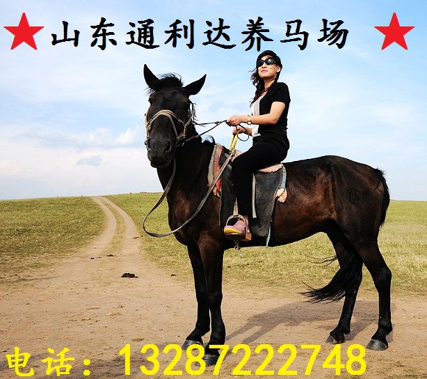 032406qh6ihgb6iiqh06a8