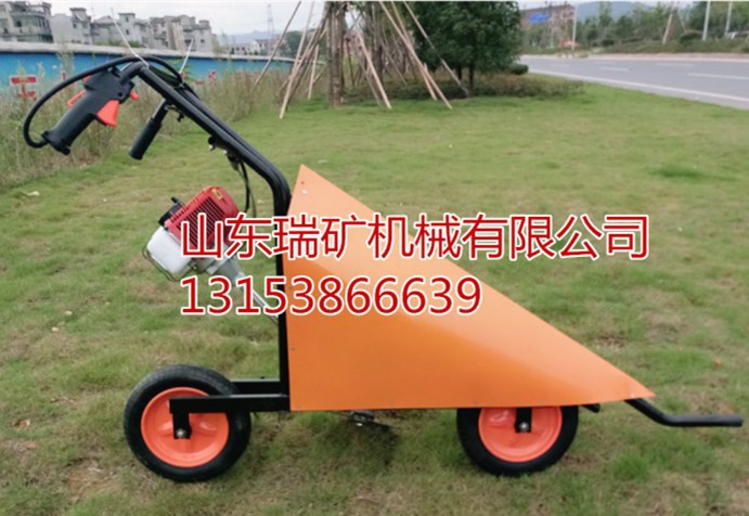 411770391179721188_副本