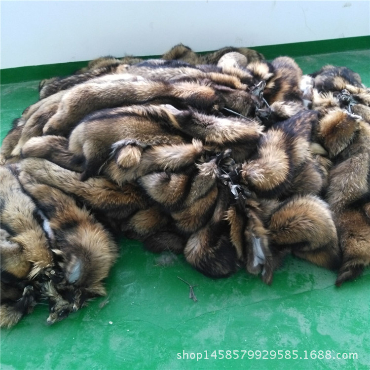 2D24A0E4230E579CB317843A791380