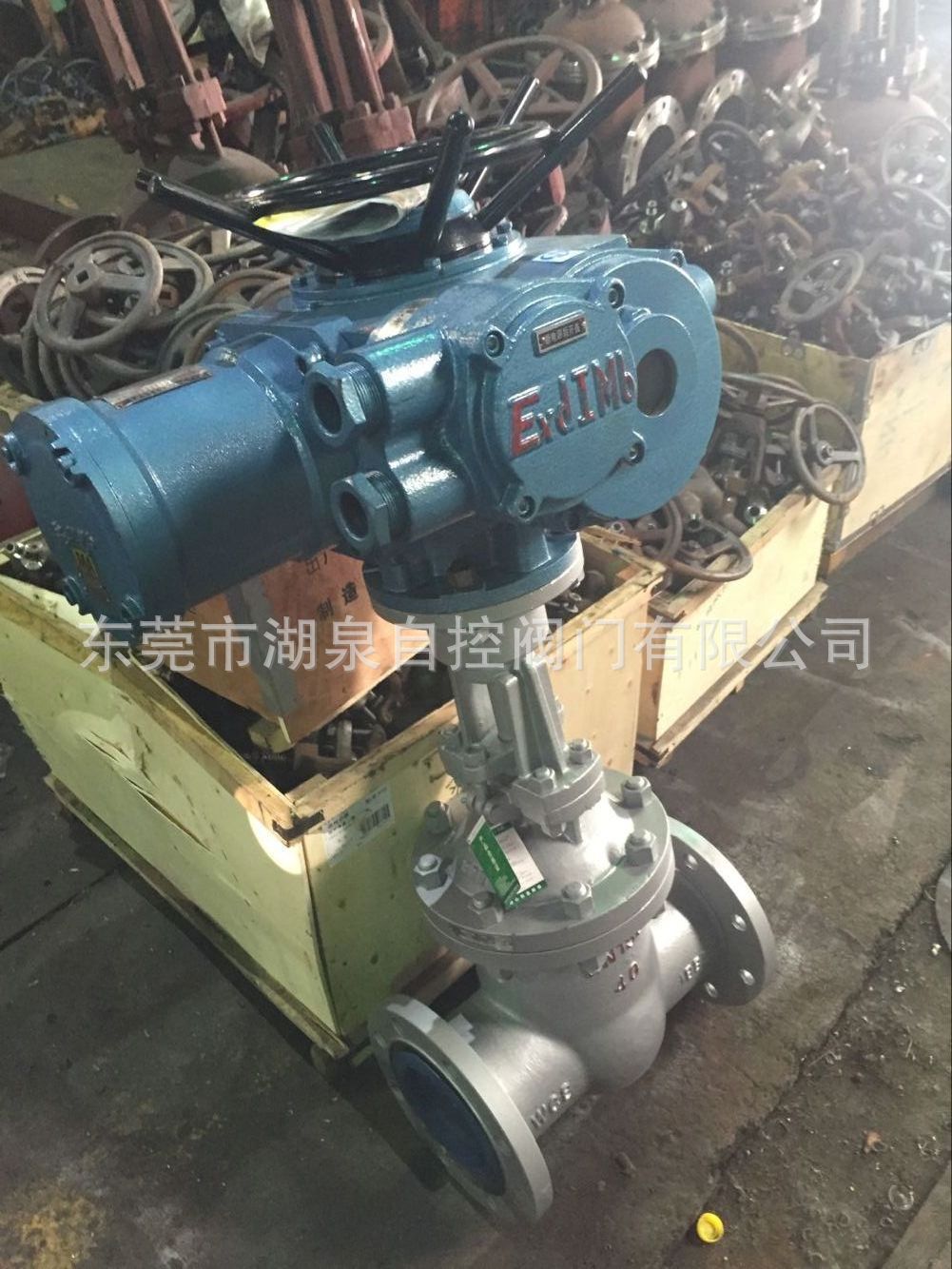 厂家直供MZ9B41H-40C铸钢不锈钢DN250有煤安证不锈钢电动防爆闸阀