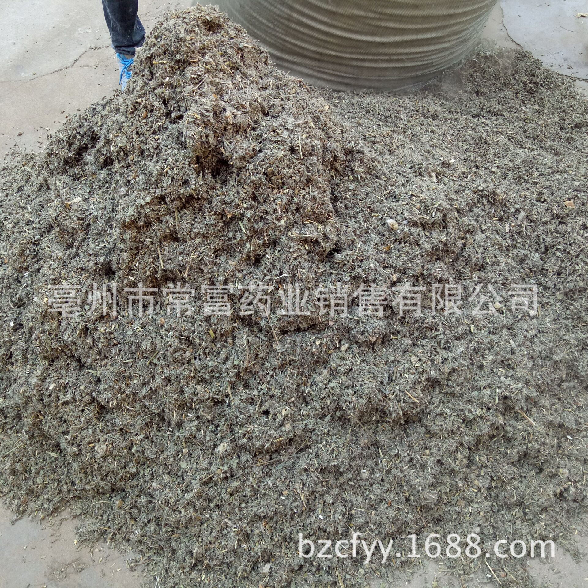 Dried Cirsium Herb Xiao Ji 小蓟 Sliced Chinese Herbal Tea Material 500g specifications