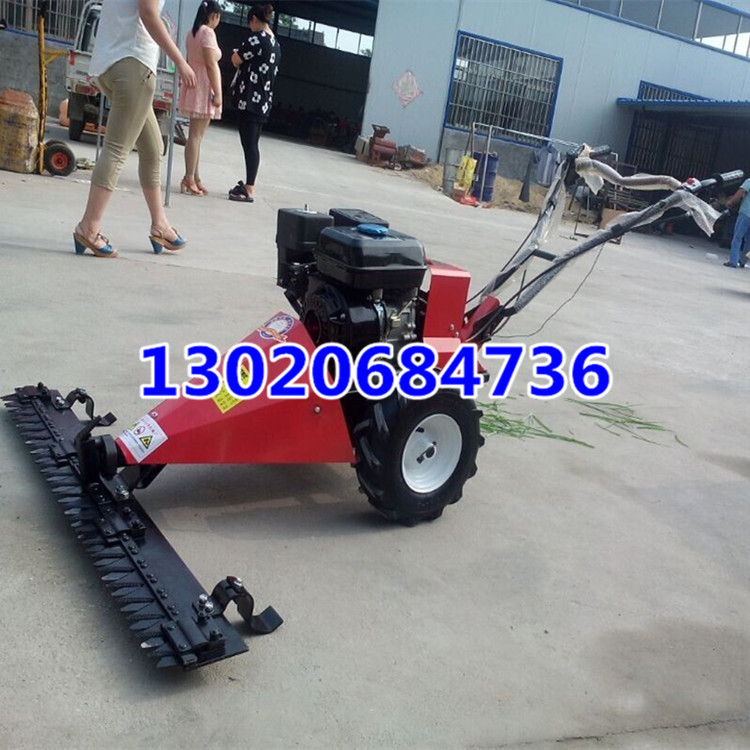 剪草机 手推式剪草机