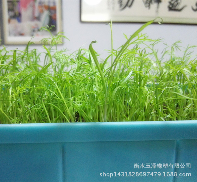 QQ圖片20160112095344_副本