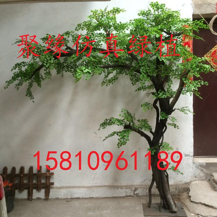 T2IgaiXO4aXXXXXXXX_!!731648813