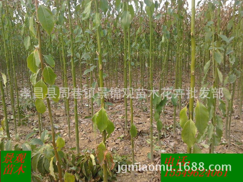 1022918274_287341304