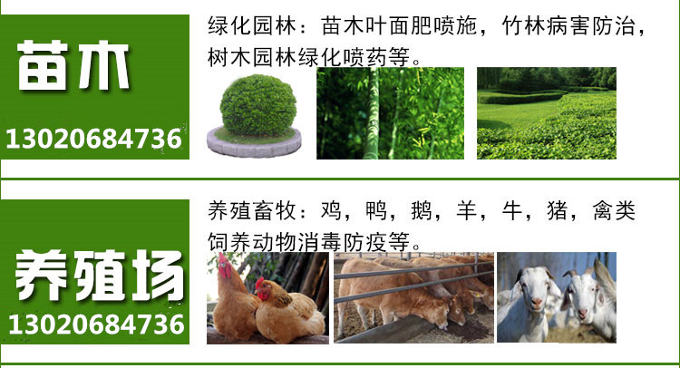 手提式弥雾机 蔬菜打药烟雾机