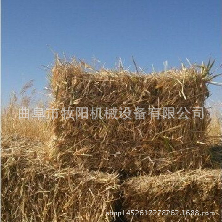 一人操作方便全自动打捆机