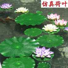 ¿ֲˮevaٺ~ɻ ˯ɏ ~b Sl