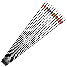 ̼�ؼ� 4.2�Ƚ�5.5�⏽ ��̼�� Carbon Arrow ������֧ �������