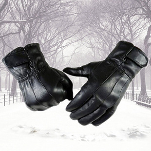 �¿����ʿ��Ƥ��ƤƴƤ��B���� ��ů�\���T�����׵̓r���l