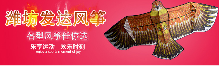 发达风筝关联营销-副本_01