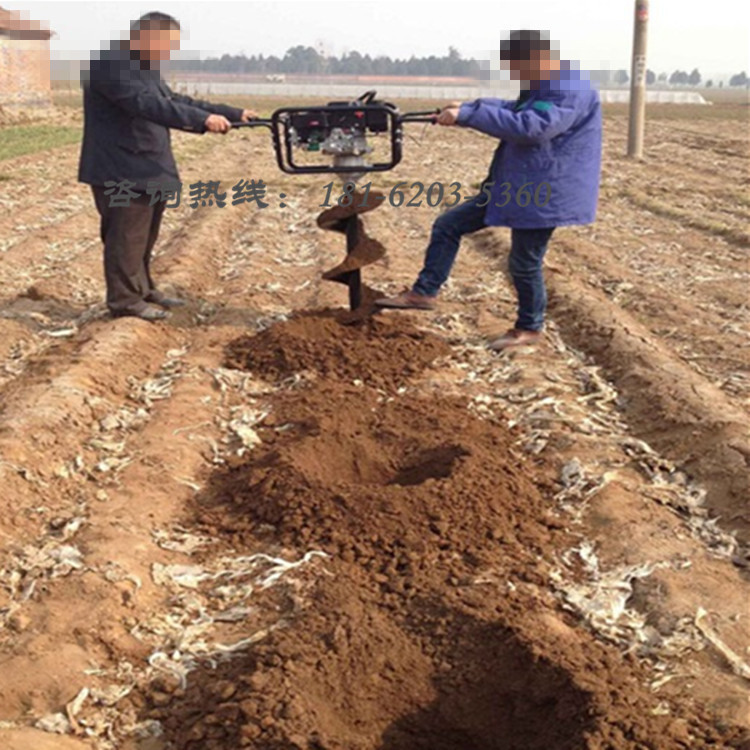 果园施肥打孔机 汽油挖坑机 植树挖坑机厂家图片