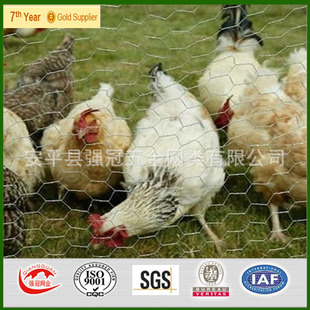 �B�u���F�z�W ��\���ǾW �Q���W��ISO�|���J�C �r�����
