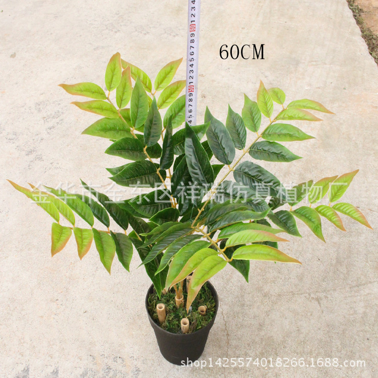 XRB-152立体天堂叶6叉枝4