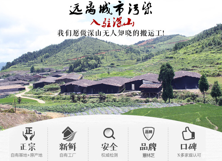 333黄米详情页(新)_14