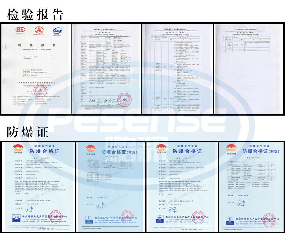 检验报告-防爆证