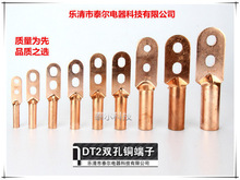 紫銅接線端子，雙孔銅鼻子，雙孔銅端子，雙孔銅端子DT-150mm?