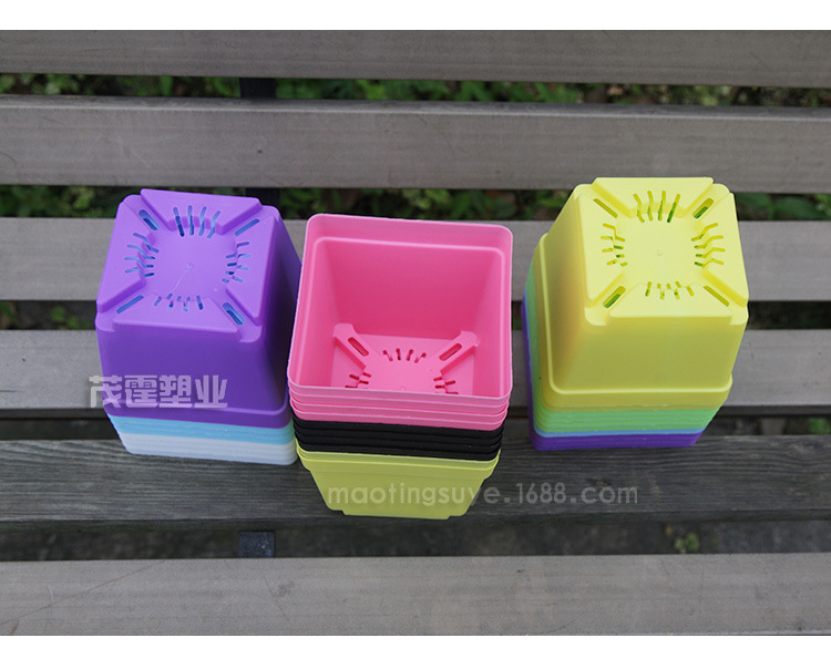 ����ھ�12_06