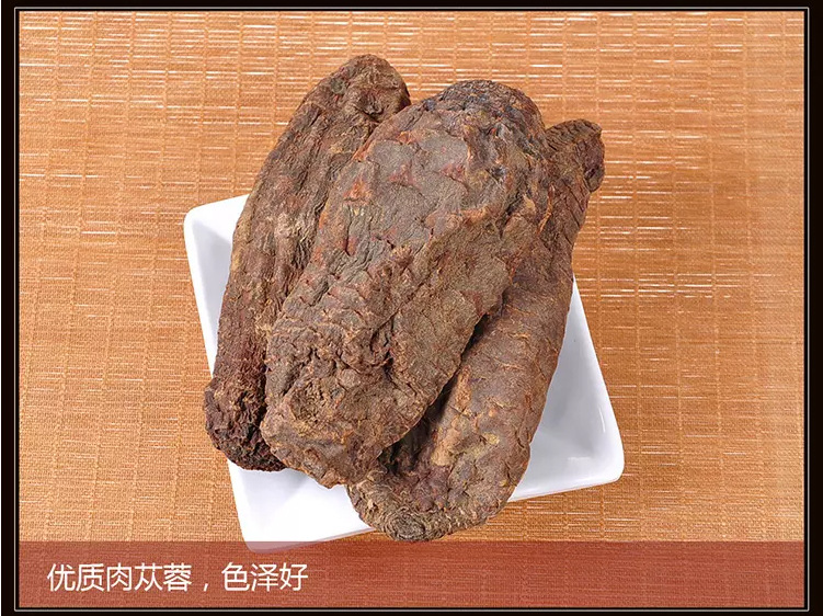 肉苁蓉_04