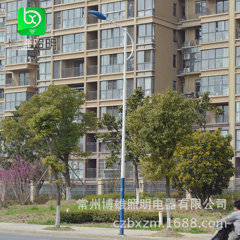 Mains street lamp Road lights outdoors waterproof Residential quarters New rural construction street lamp led6 5m custom