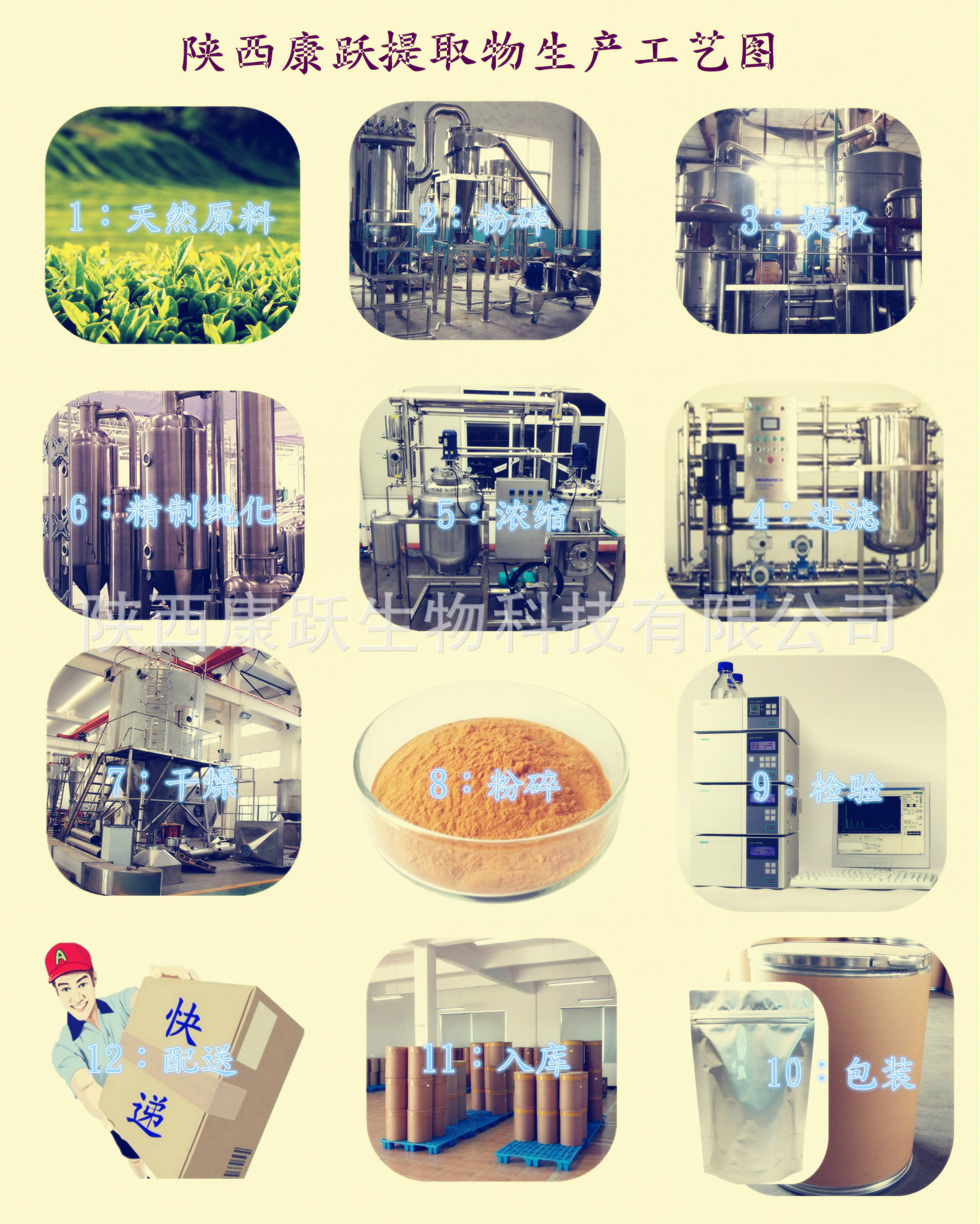 提取工艺图_副本