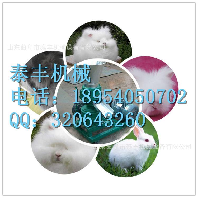 QQ圖片20140414151028_副本_副本