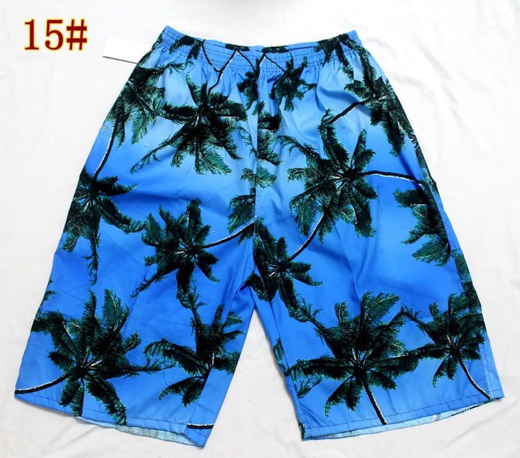 大椰树15#