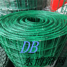 现货供应：优质荷兰网 广东荷兰网护栏网 波浪型护栏网价格优惠