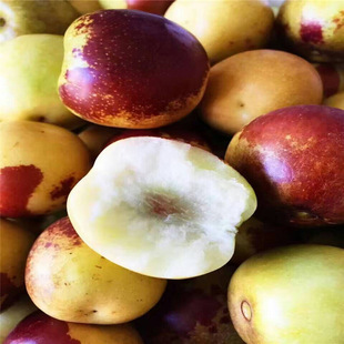 ���������������u մ�������� �������� ռ�ؗ����������