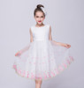 Skirts new Korean wedding flower girl dress skirt child Princess Dress girls wear vest dress