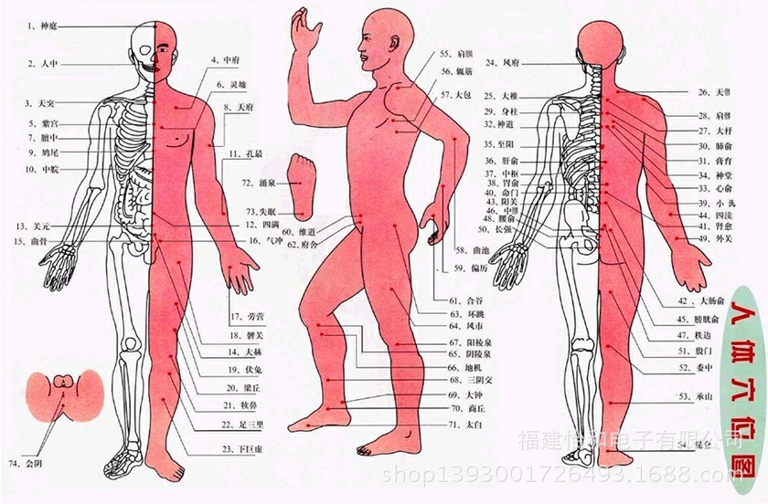 人体学位图片