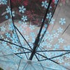 Fuchsia children's small fresh umbrella for elementary school students, increased thickness