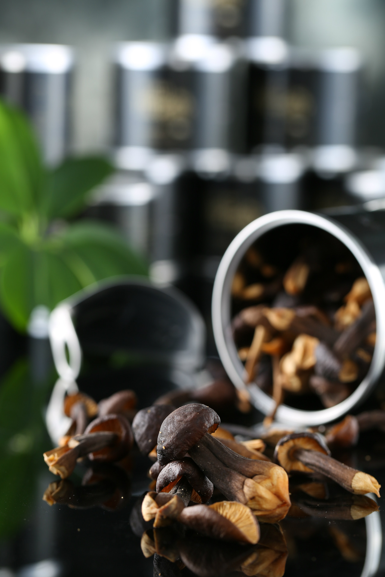 【搜韵韵典】_搜韵韵典厂家_搜韵韵典批发市