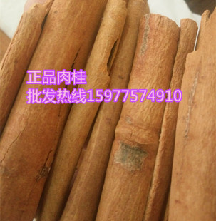 ��Ƥ �V����� �͹�  ȥƤ��ͨ���� ��Ƥ�����؛