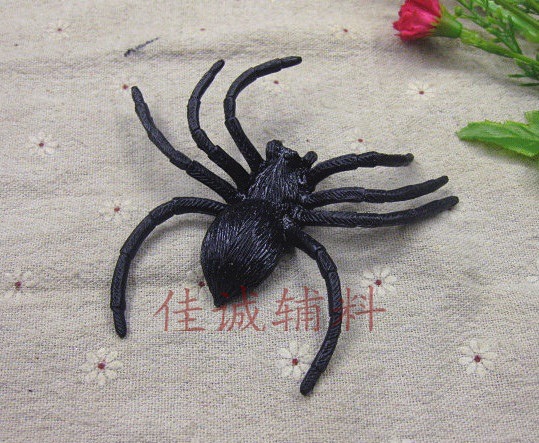 蜘蛛9.5-9.5黑-