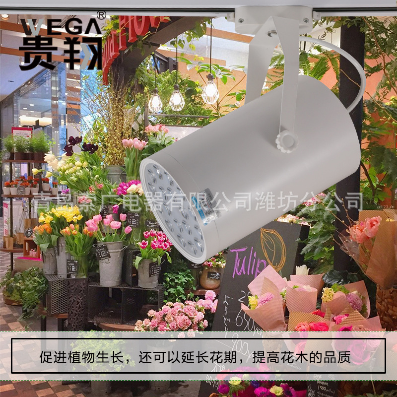 植物生长补光灯LED全光谱室内园艺景观花卉多肉轨道植物墙补光灯