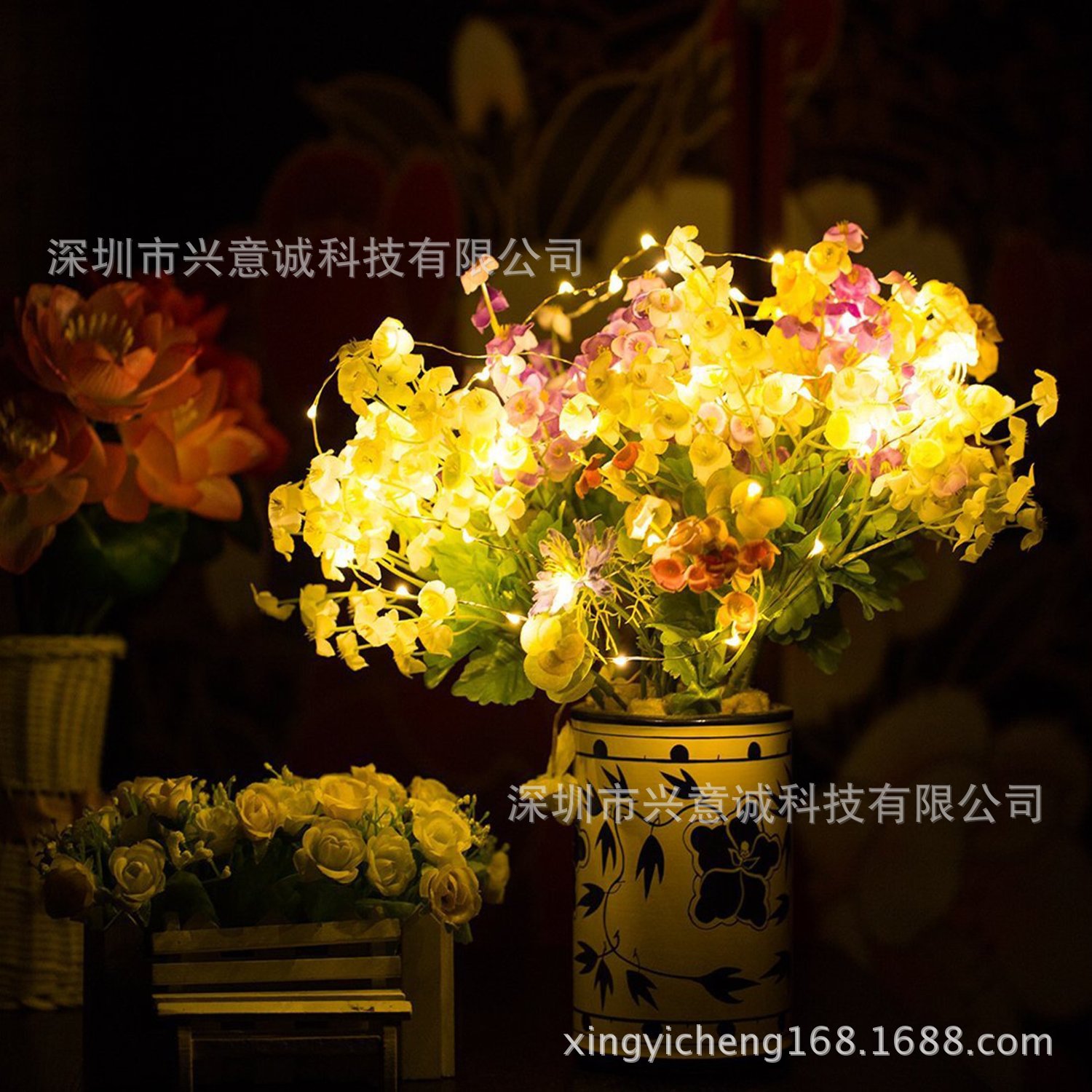 工艺品装饰灯串3AA电池盒款优质黄光2米20灯银线灯串|ru