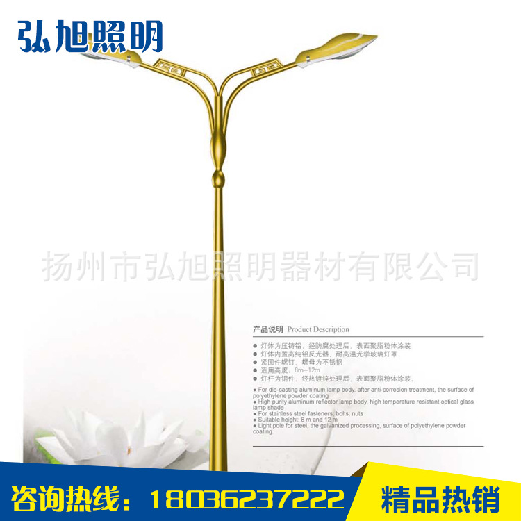 扬州弘旭照明 厂家直销 单/双臂灯杆 6米led路灯
