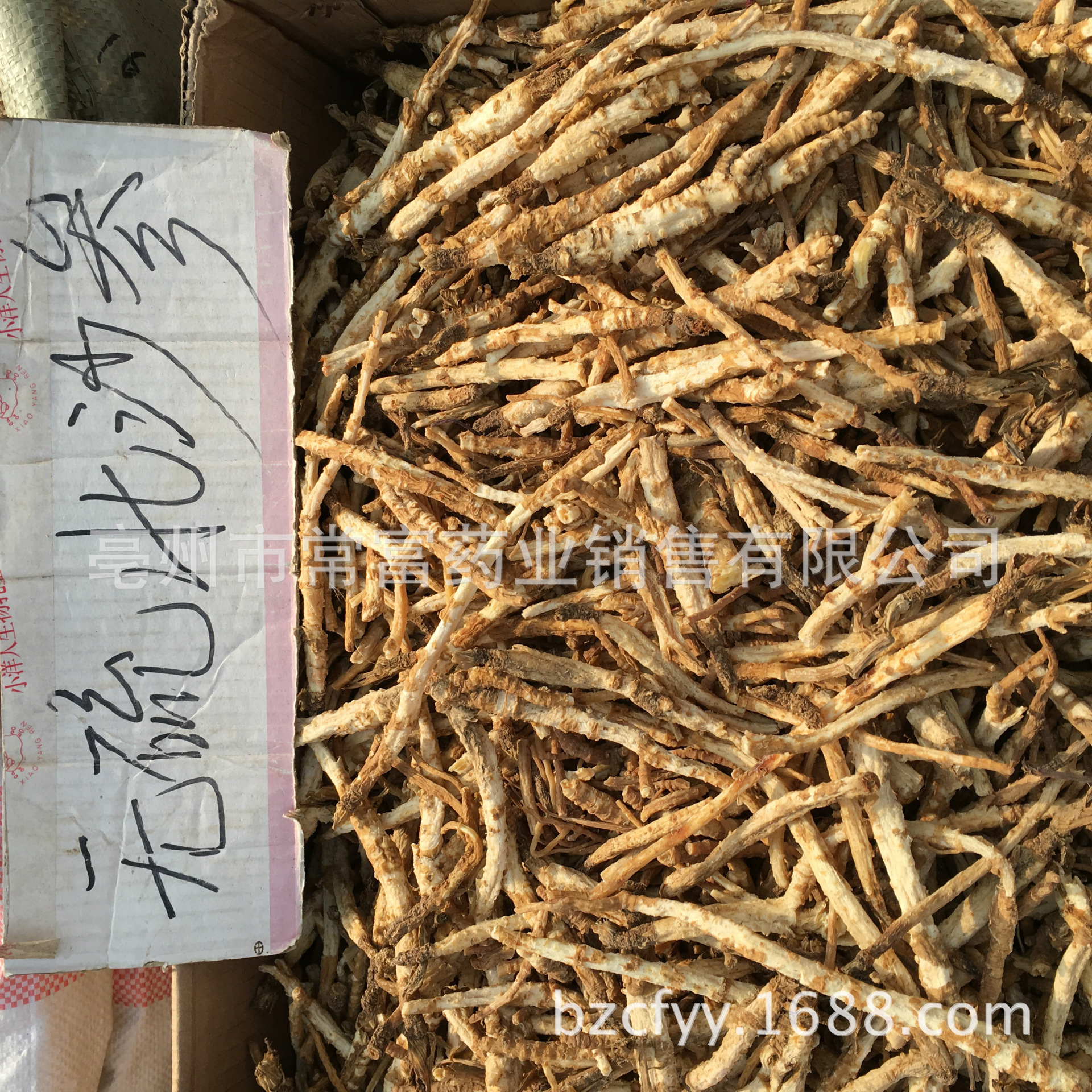 Dried North Glehnia Root Bei Sha Shen Whole Roots 500g for Culinary Herbal Soups and Decoctions overview