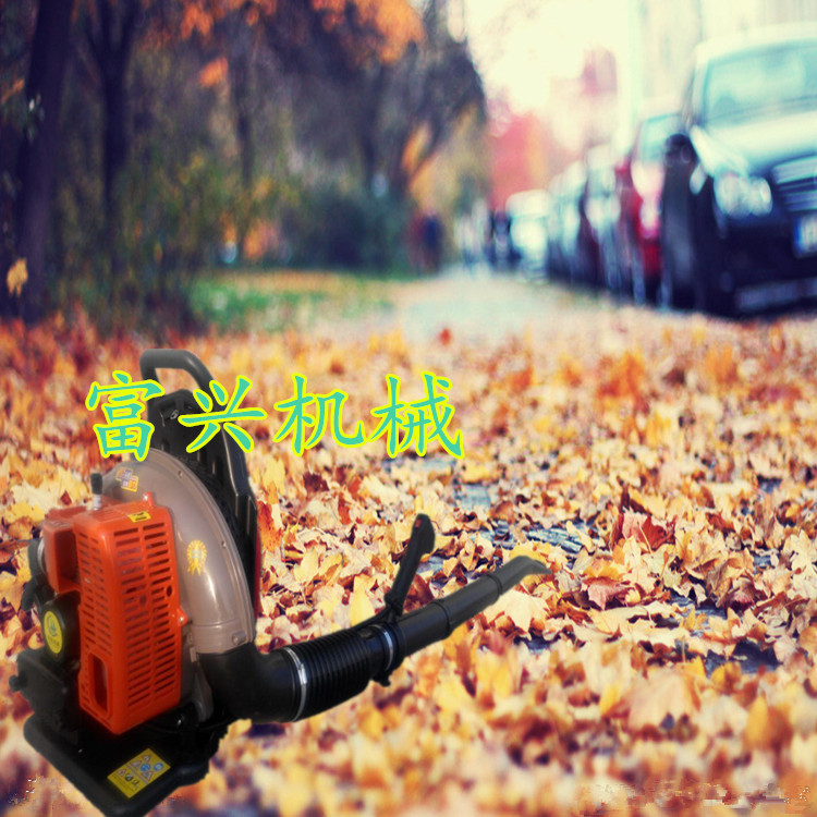 公路地面吹雪机吹风机图片_道路除尘机