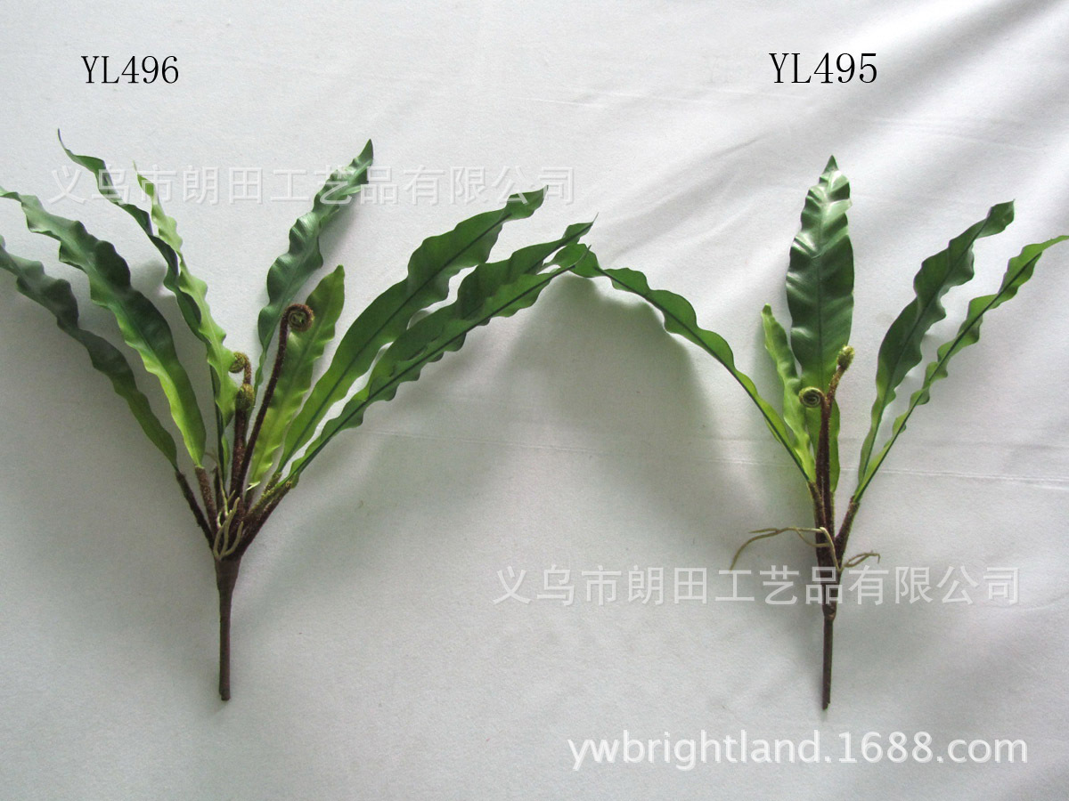 YL495&YL496