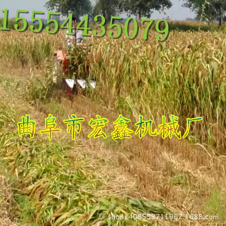 QQ圖片20160606165359