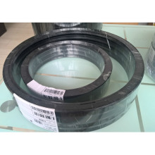 Freudenberg�Ƶ�DICHTOMATIK���Ϸ�WAS�Ǽ��ͷ�������ķ��