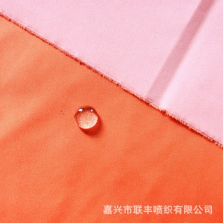热销产品240T半光春亚纺平纹+PA白胶涂层 跑步裤运动服校服面料