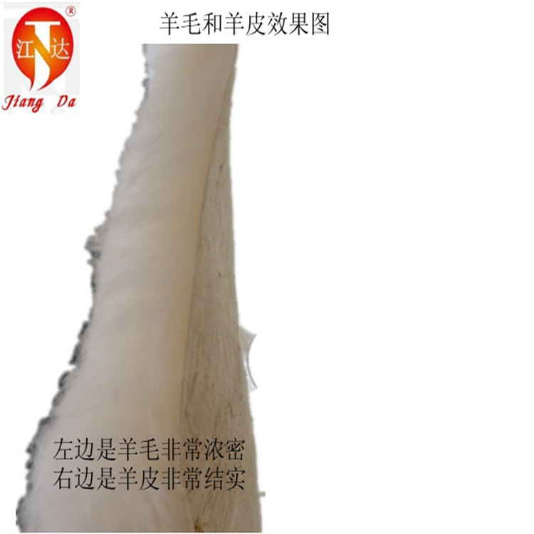 阿裡美奴主圖5_副本