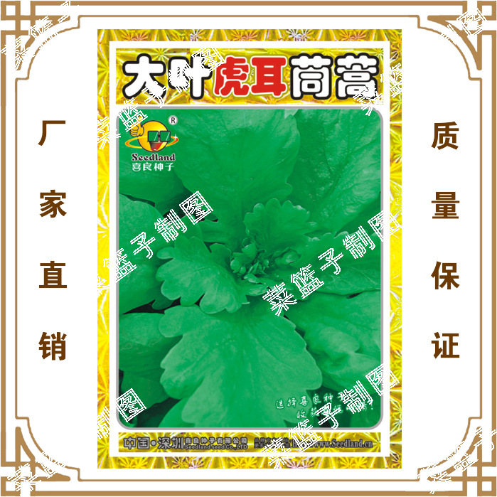 Big Leaf Tiger Ear, Artemisia Artemisia Balcony Plant Gardening Foods