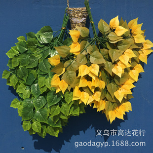 �������~֦����ט���~�ӷ���ֲ�����@�֘��~���~�ӽzӡ���