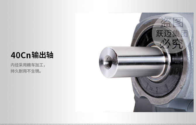 3032102895_790446038_副本